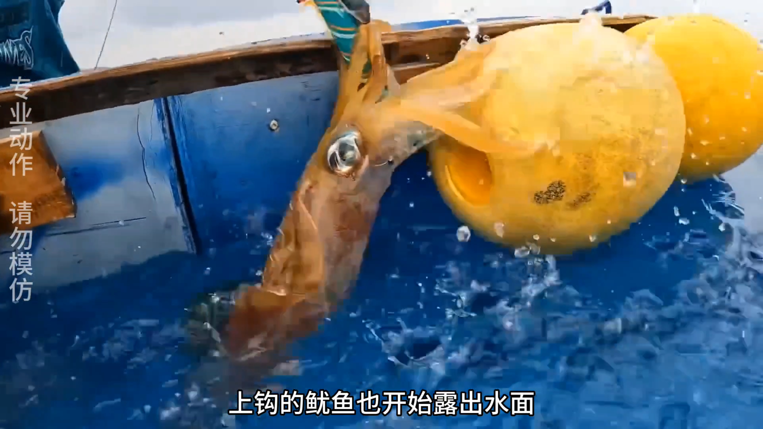 用油桶做成的小船,拿着仿生诱饵鱿鱼钩就能将海里的鱿鱼钓了个遍