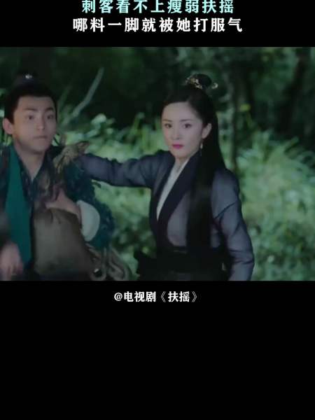 扶摇刺客看不上瘦弱扶摇哪料一脚就被她打服气