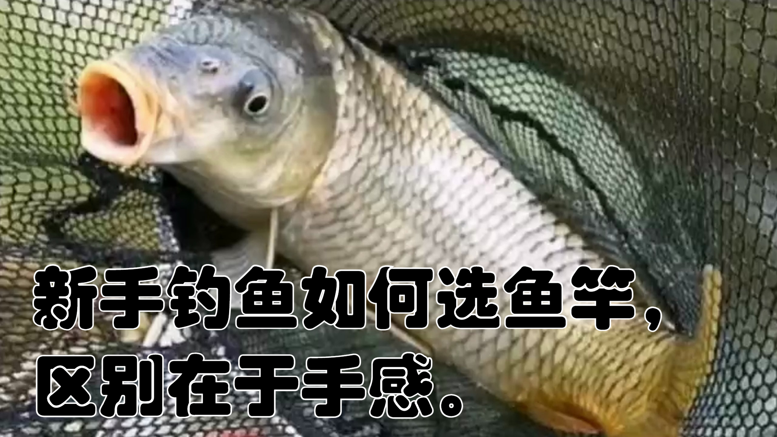 新手钓鱼如何选鱼竿,区别在于手感