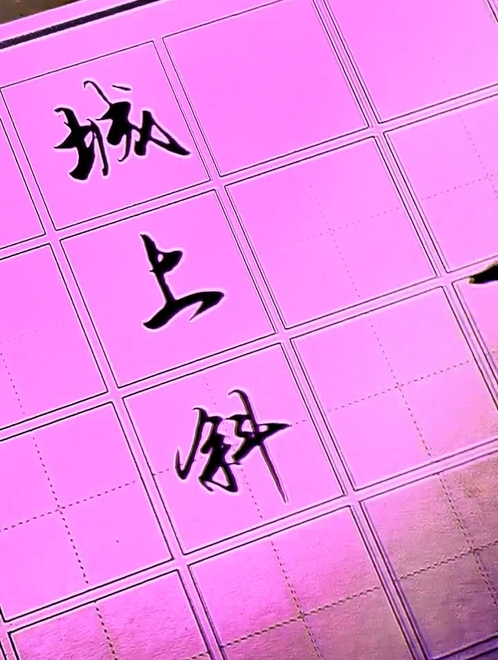 秀丽笔行楷随笔练习邵辉行楷教学-度小视