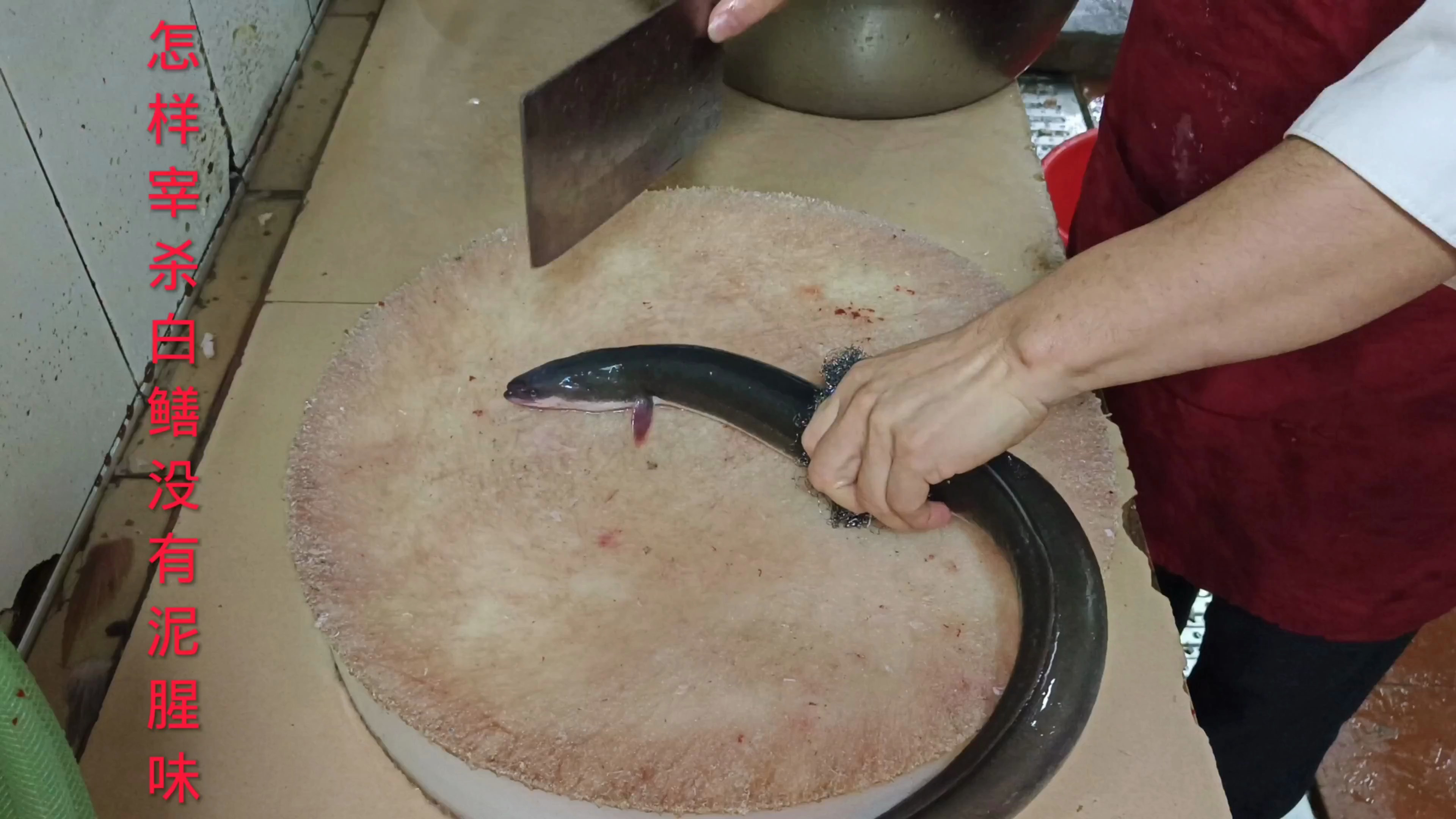 白鳝蒸出来好不好吃,关键就是要用对方法清除白鳝身上的粘液