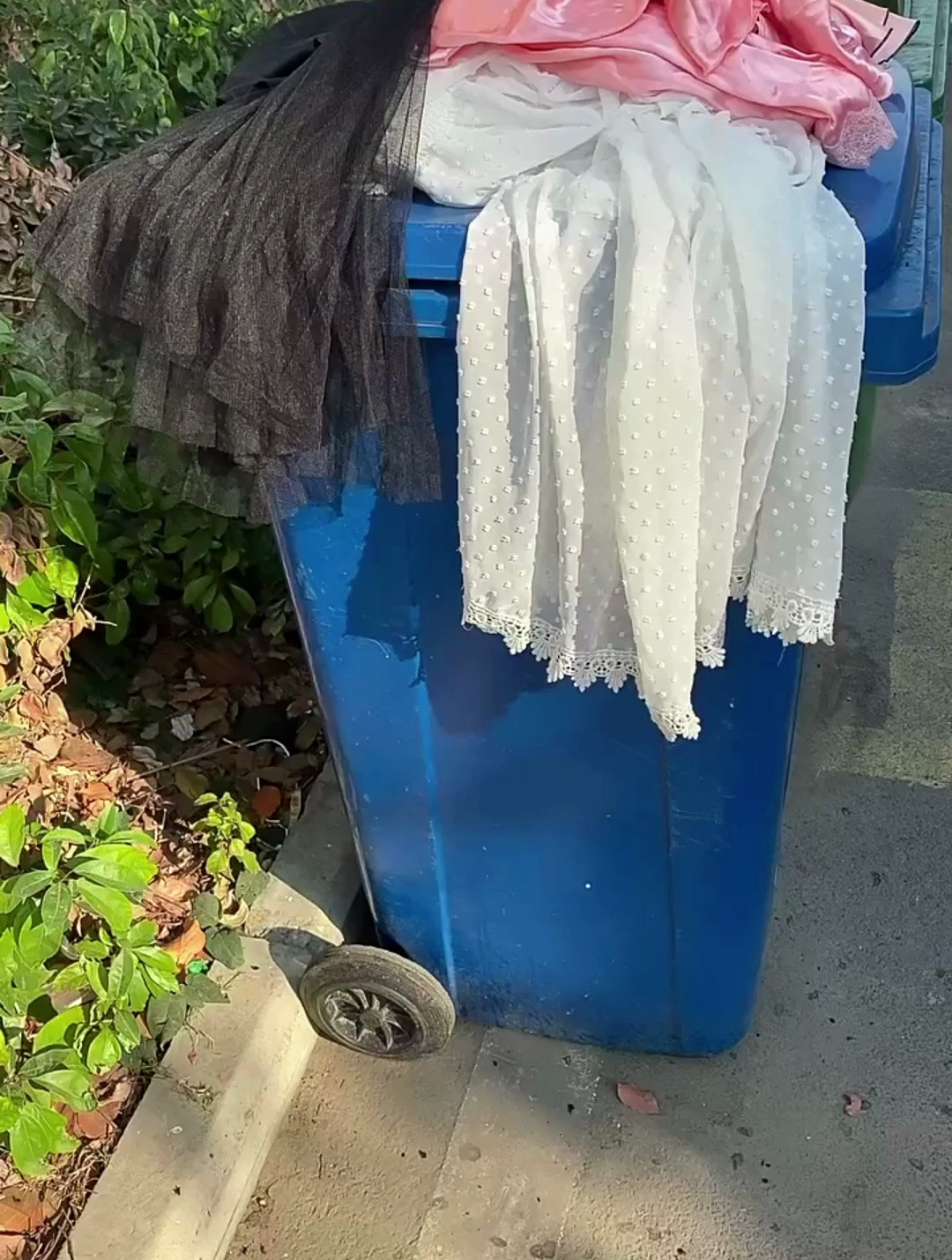 垃圾桶里捡到好漂亮的衣服