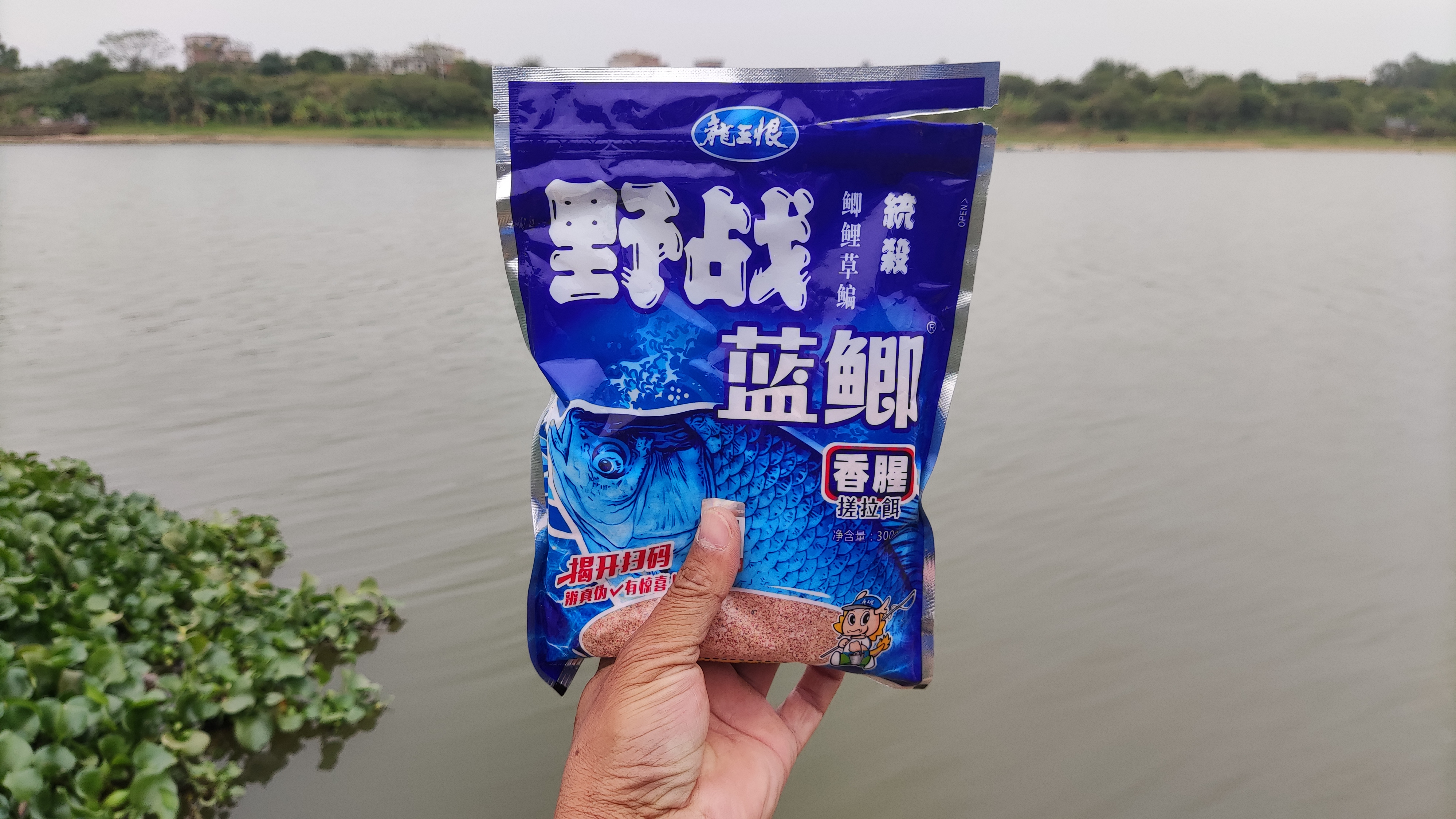 野战蓝鲫钓鱼效果有多好？从开饵到水底全程测试，结果很明显