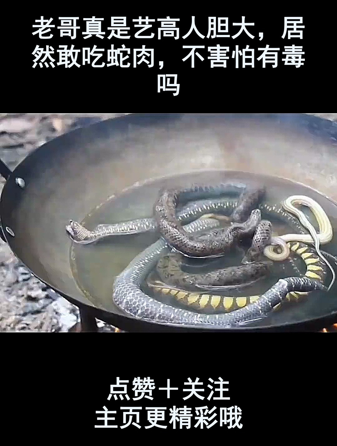 老哥真是艺高人胆大,居然敢吃蛇肉,不害怕有毒吗