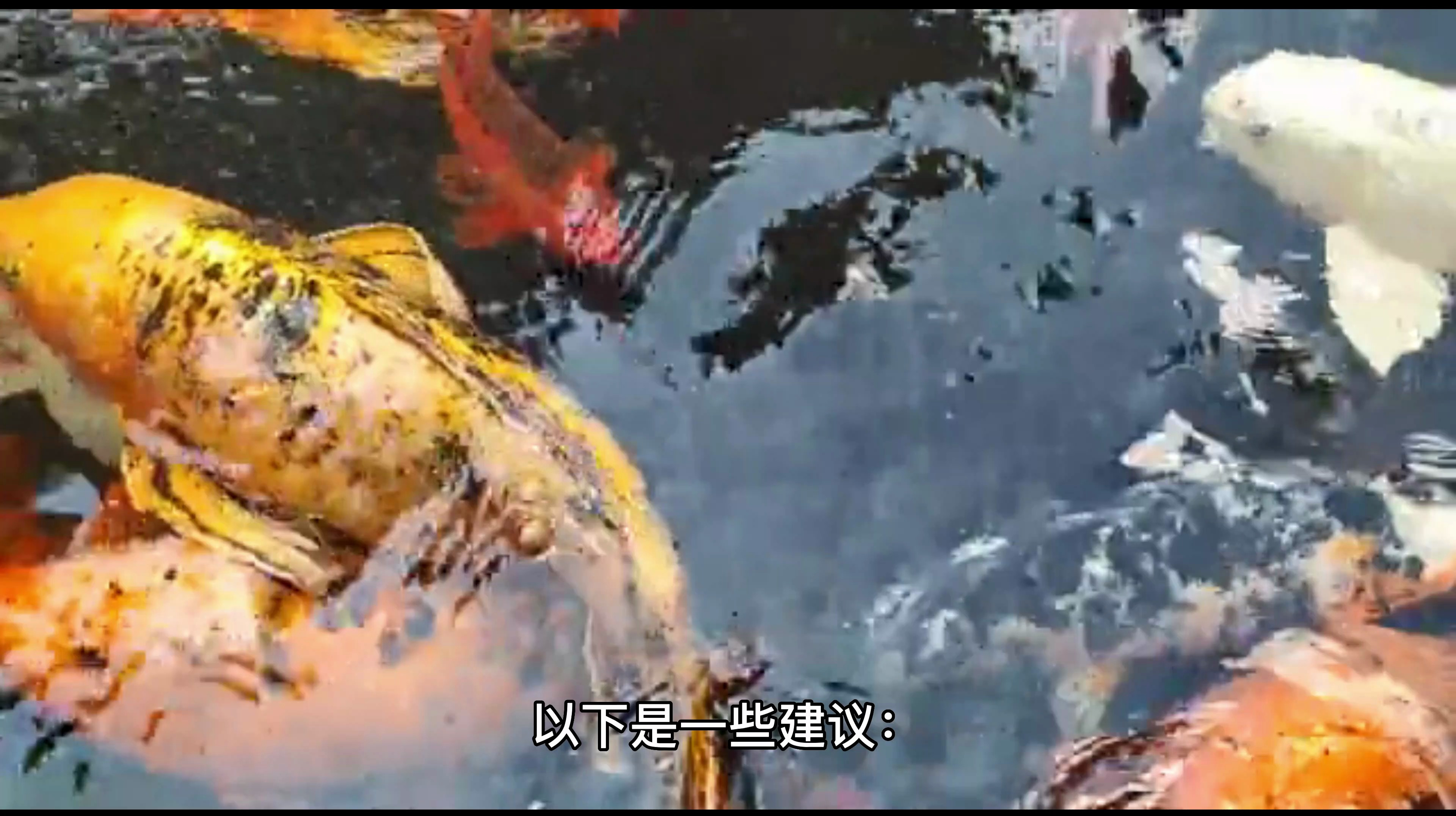 2公分七彩神仙鱼苗怎么养