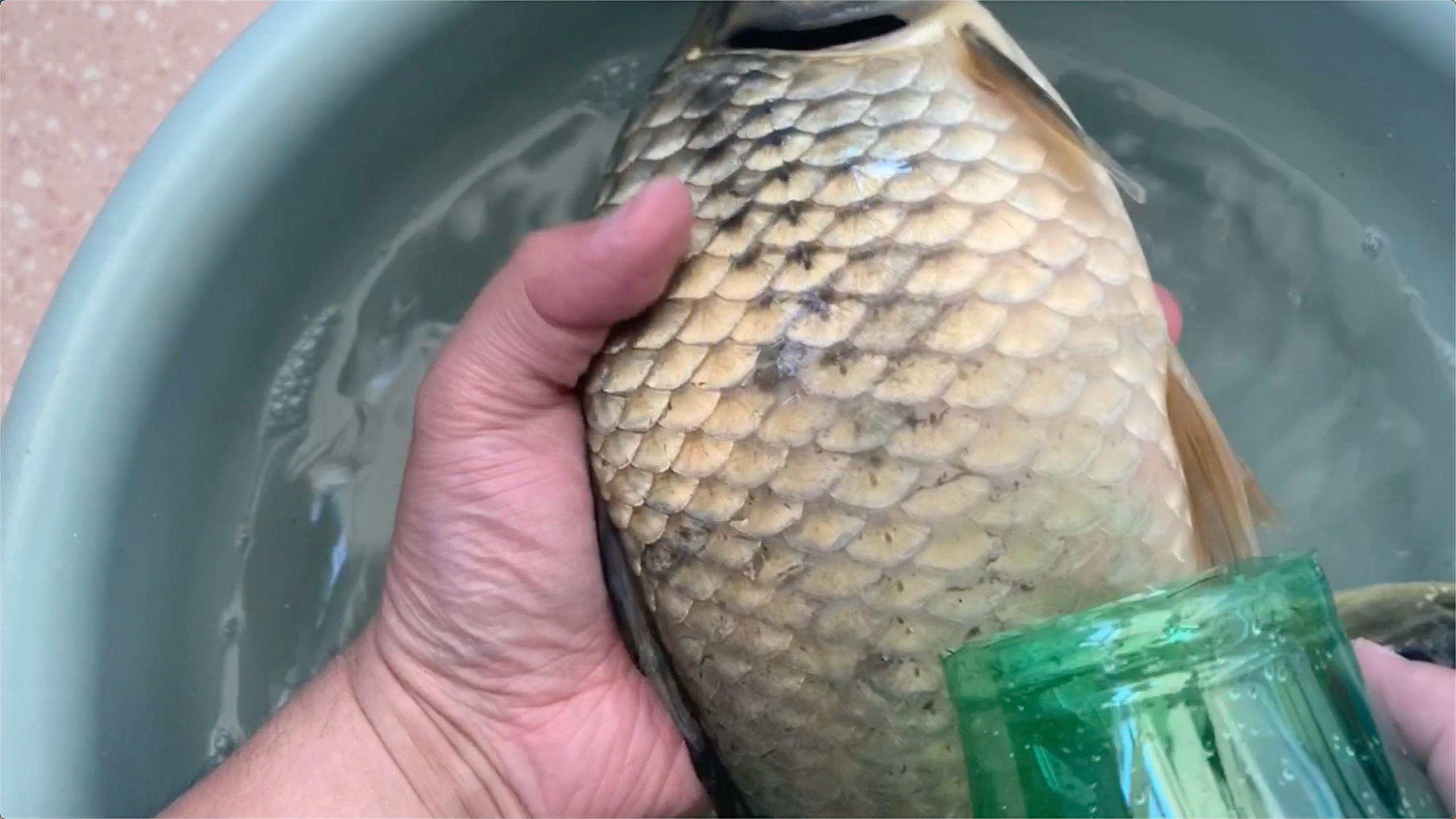 我也是今天才知道,塑料瓶剪开还能这样用,看完真涨知识