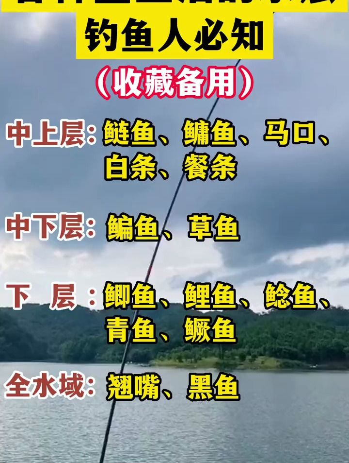 各种鱼生活的水层,作为钓鱼人的你知道吗?