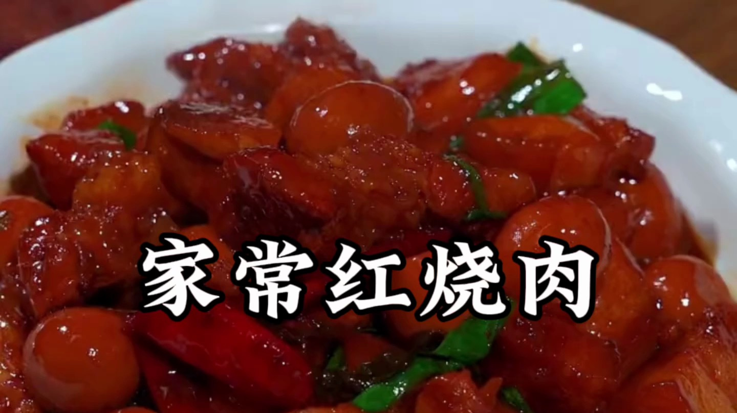 红烧肉的做法 最正宗的做法视频