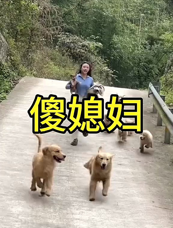 真是一个傻媳妇