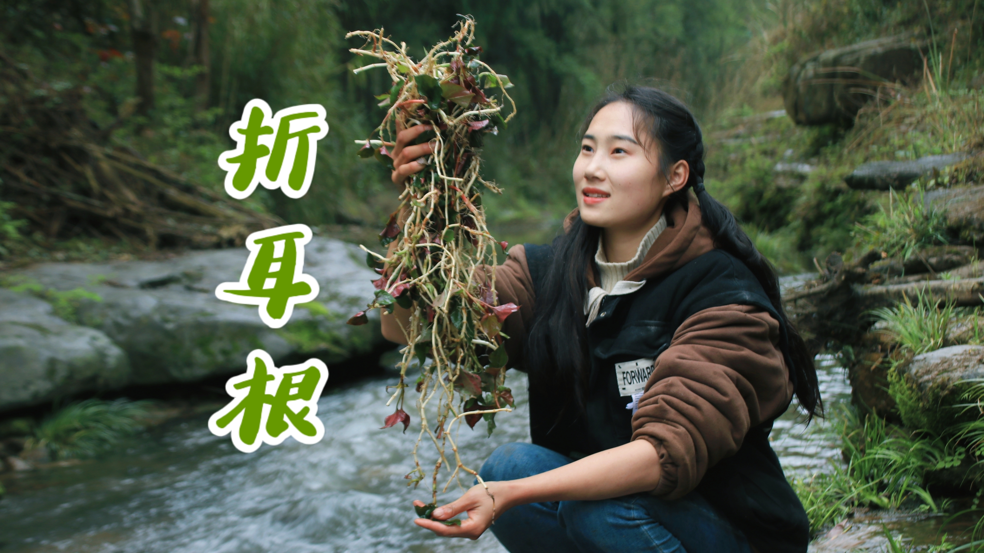小溪边的折耳根咔咔脆,凉拌一盆我俩抢着吃