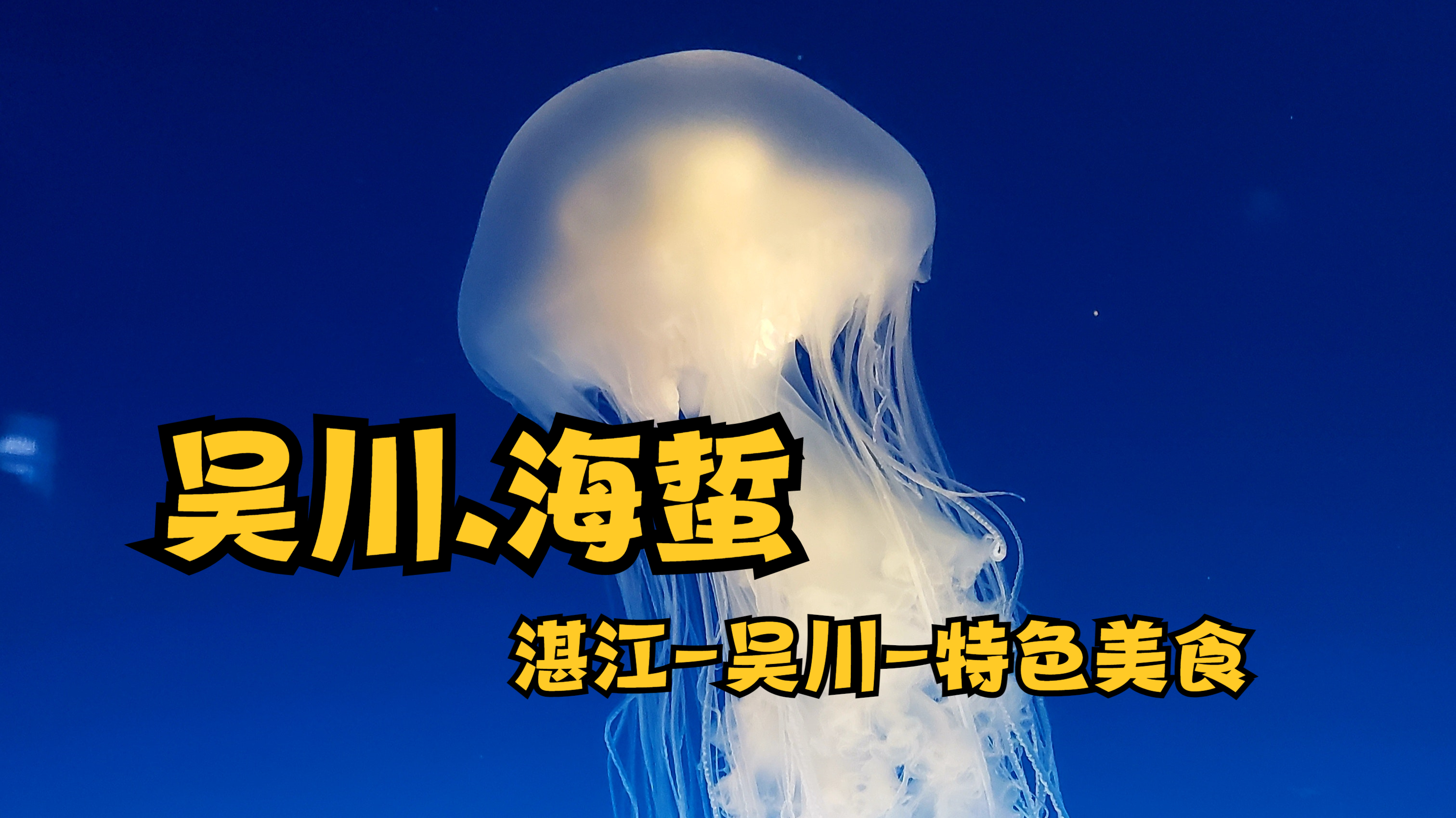 湛江吴川特色美食:海蜇/捞