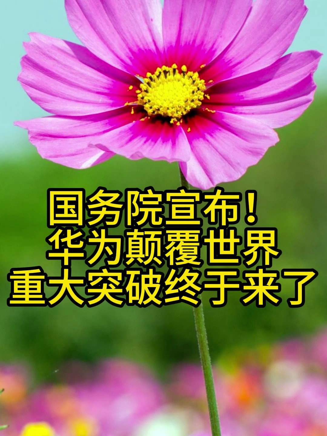 中科院华为重组,将一飞冲天