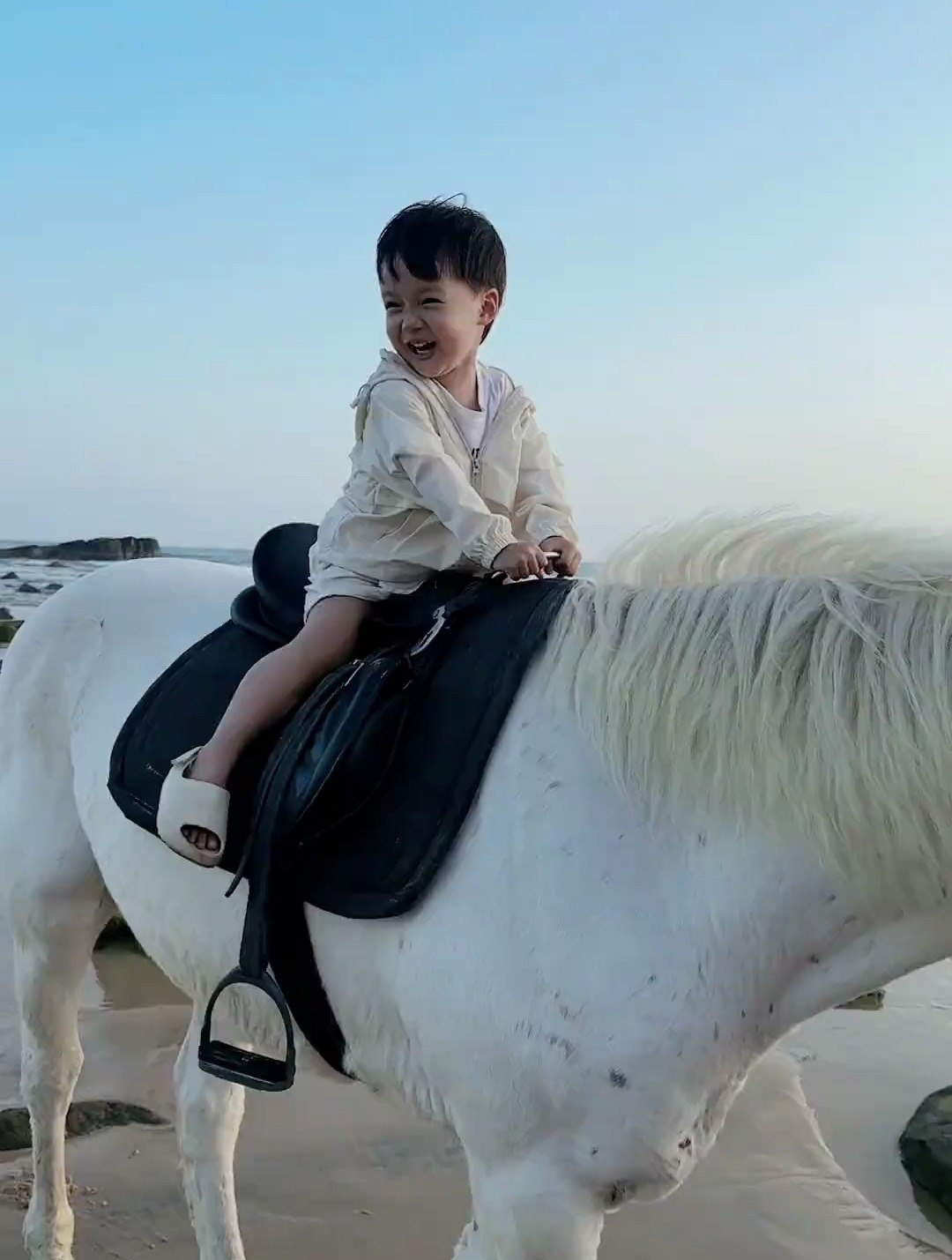 当当说他坐上白龙马啦