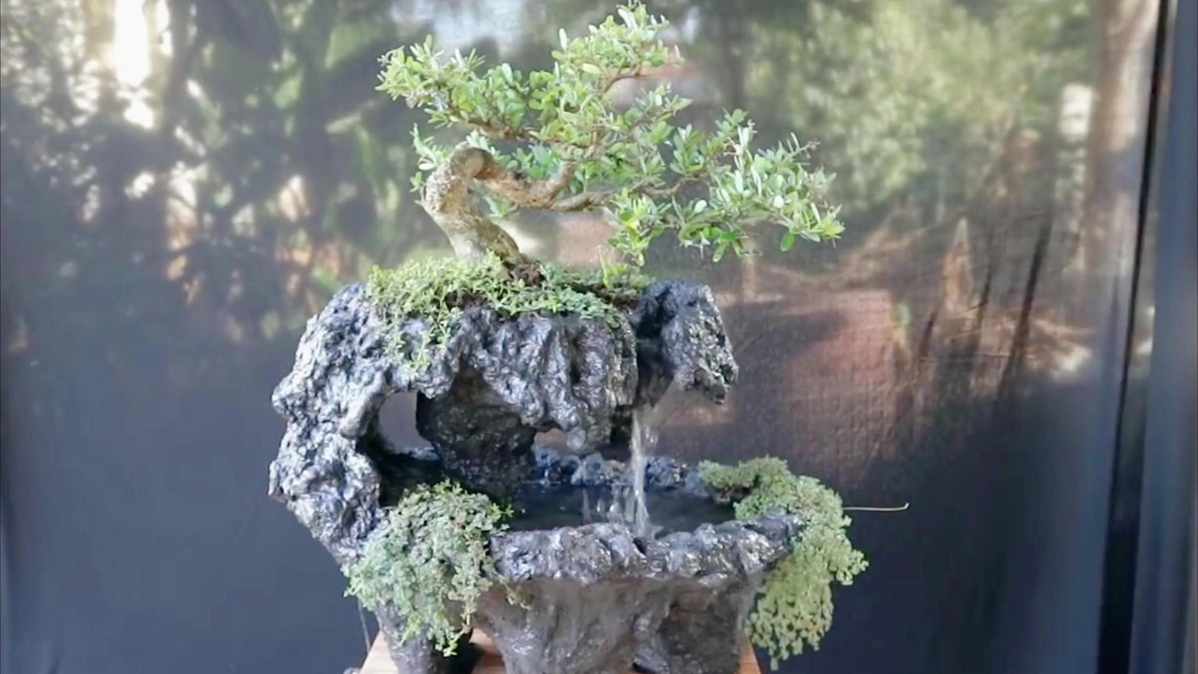 用水泥制作一个假山瀑布微景观