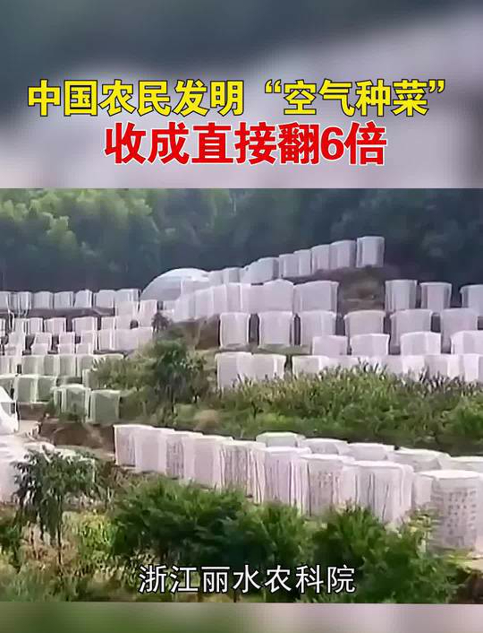 中国庄稼人搞出新式空气种菜,不土不水,产量翻六倍!想不想学?