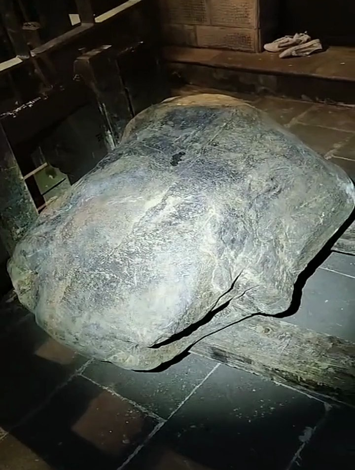 翡翠原石莫湾基560公斤黑皮巨型料子