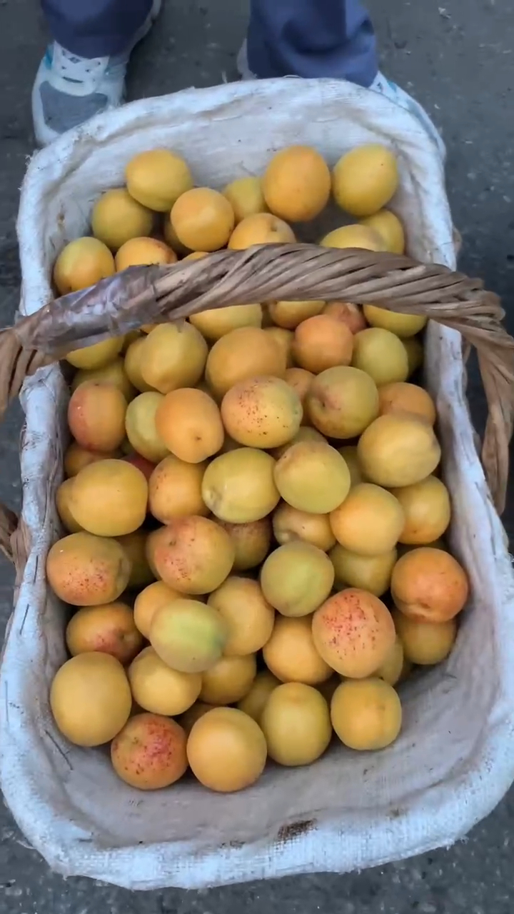 荷兰香杏口感甜美无酸味硬肉多汁香味浓郁