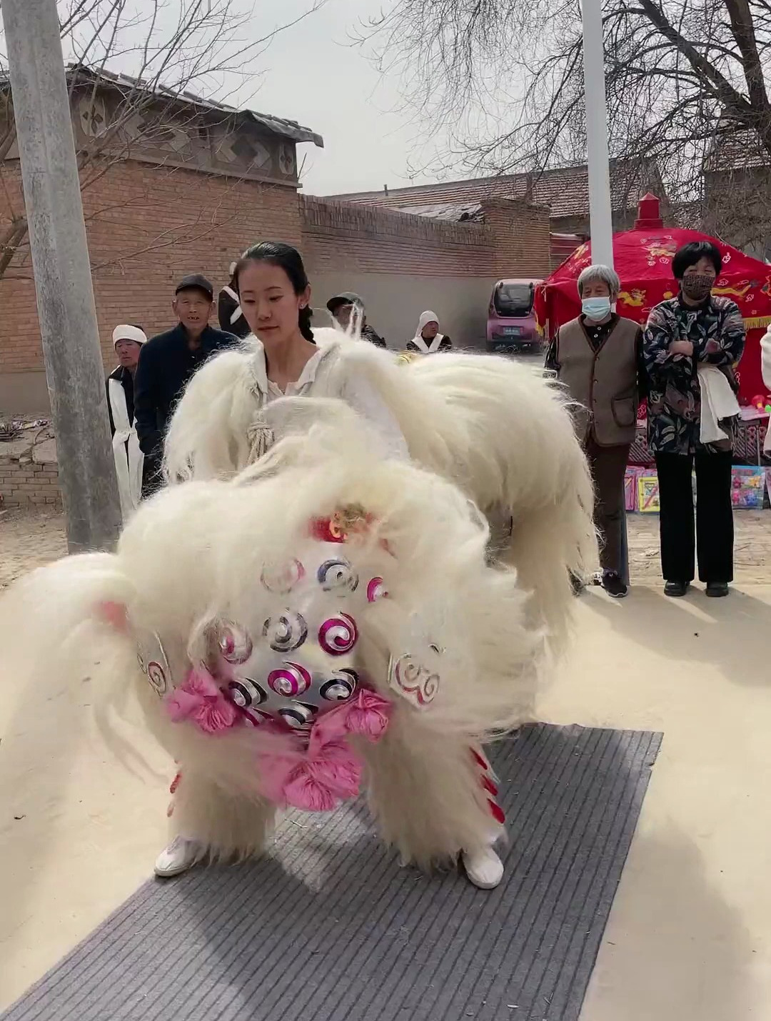 河北沧州舞狮妹小白狮为老人进行24拜仪式