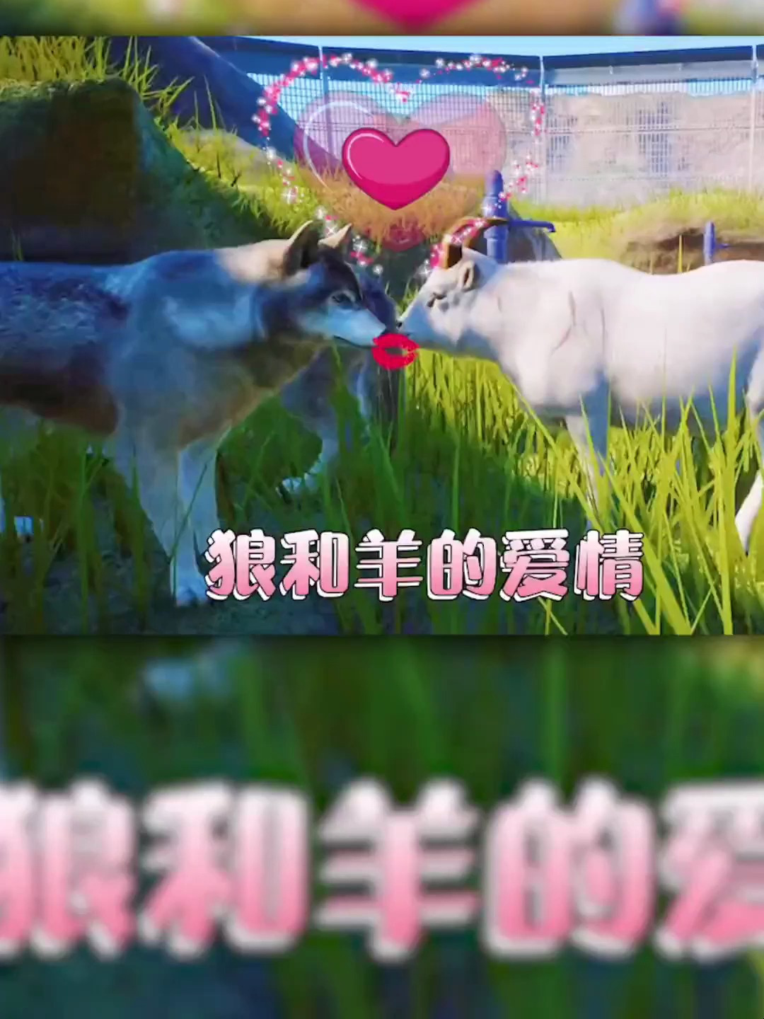 把狼和羊养在一起竟然能培育出狼羊
