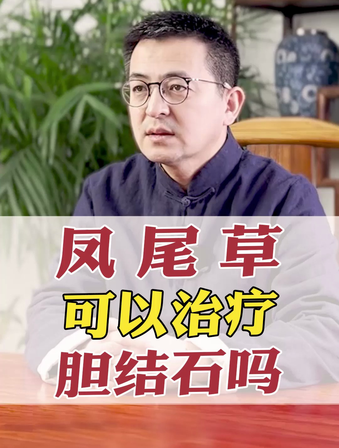 凤尾草能治疗胆结石吗?