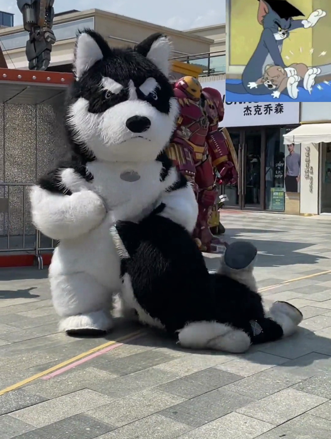 跟你们玩久了,我的世界都没有色彩了,搞笑沙雕网红熊