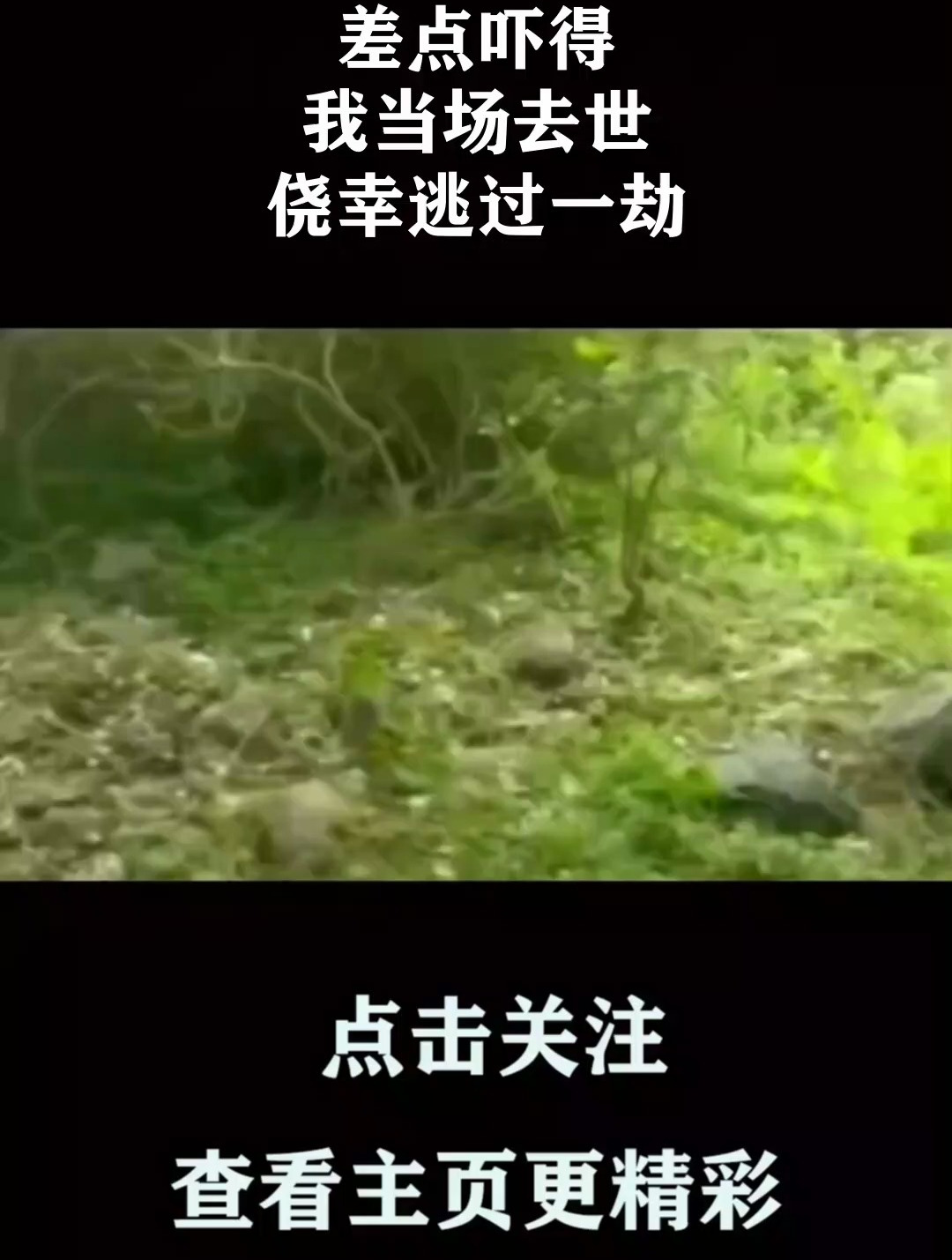 差点吓得,我当场去世,侥幸逃过一劫