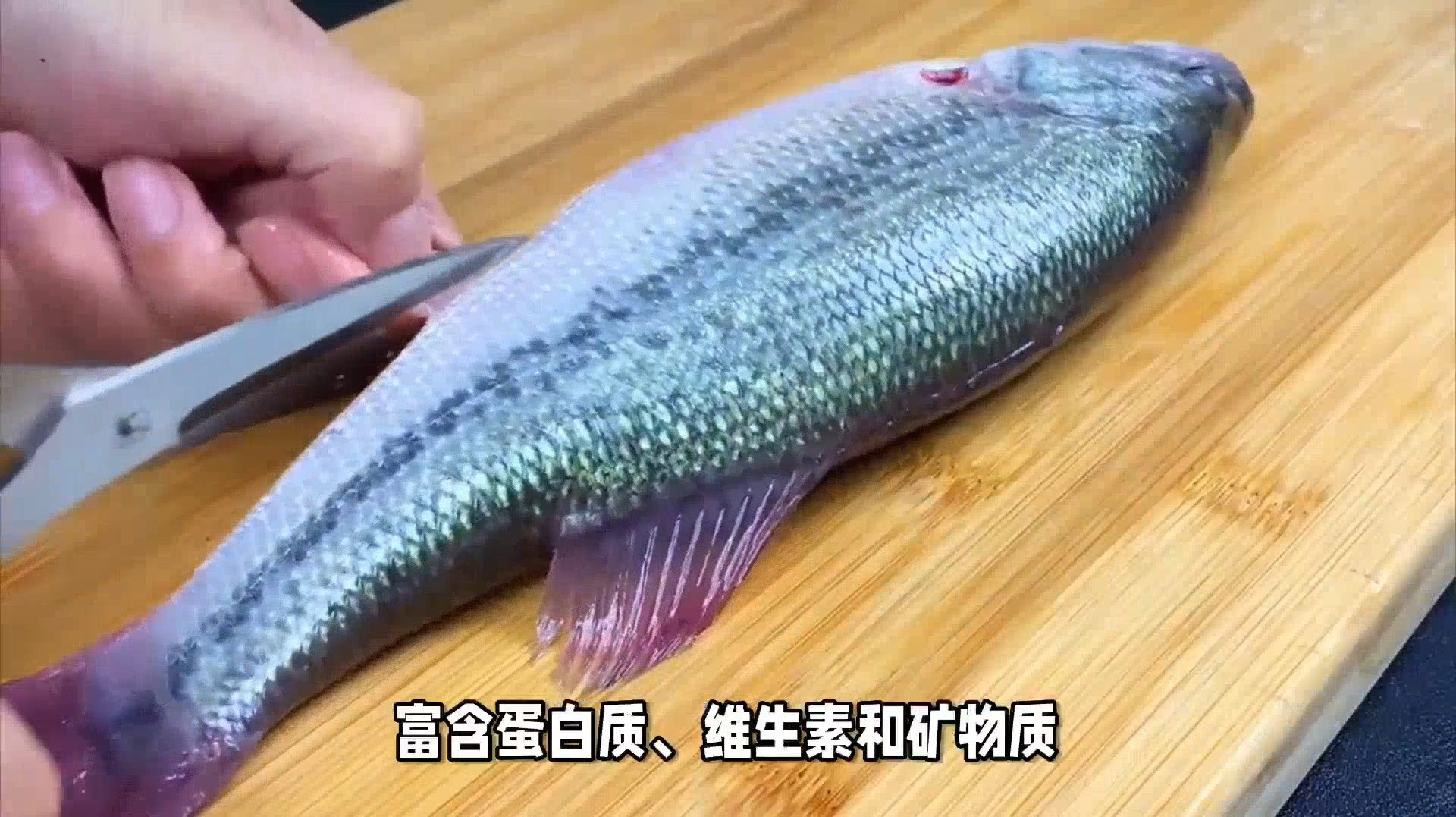 介绍十种最好吃的淡水鱼,如果你是一个鱼类爱好者,一定不要错过