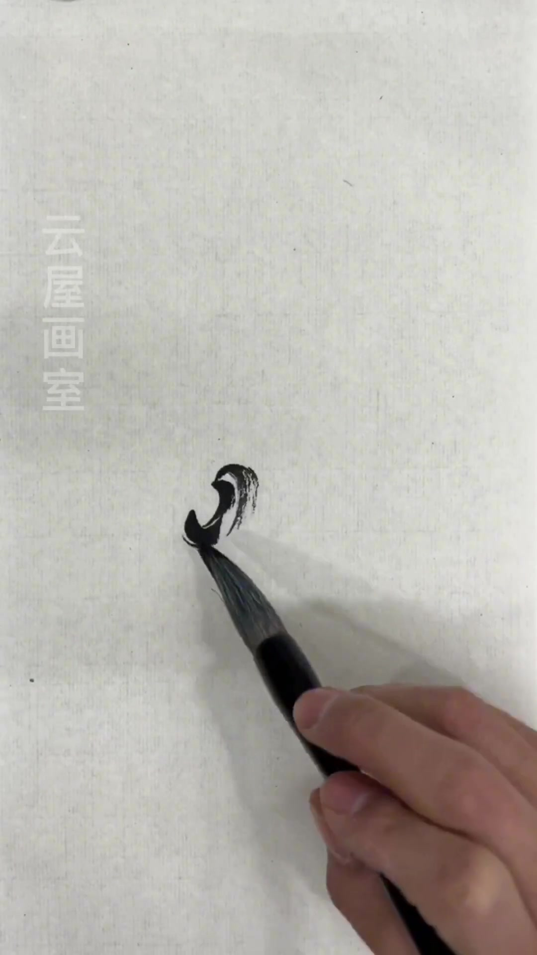 群英荟萃&萝卜开会