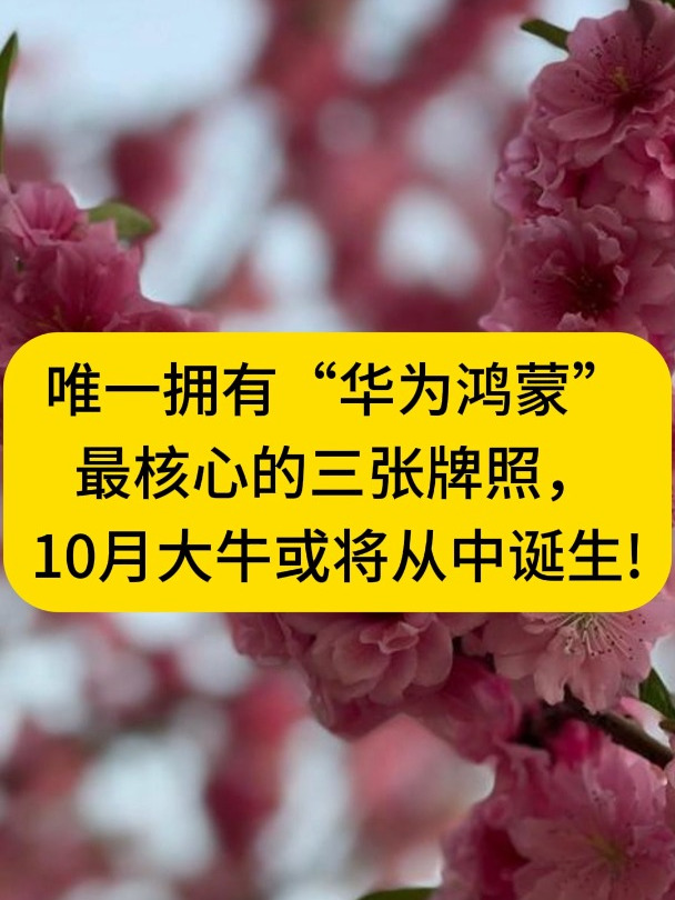 唯一拥有华为鸿蒙最核心的三张牌照