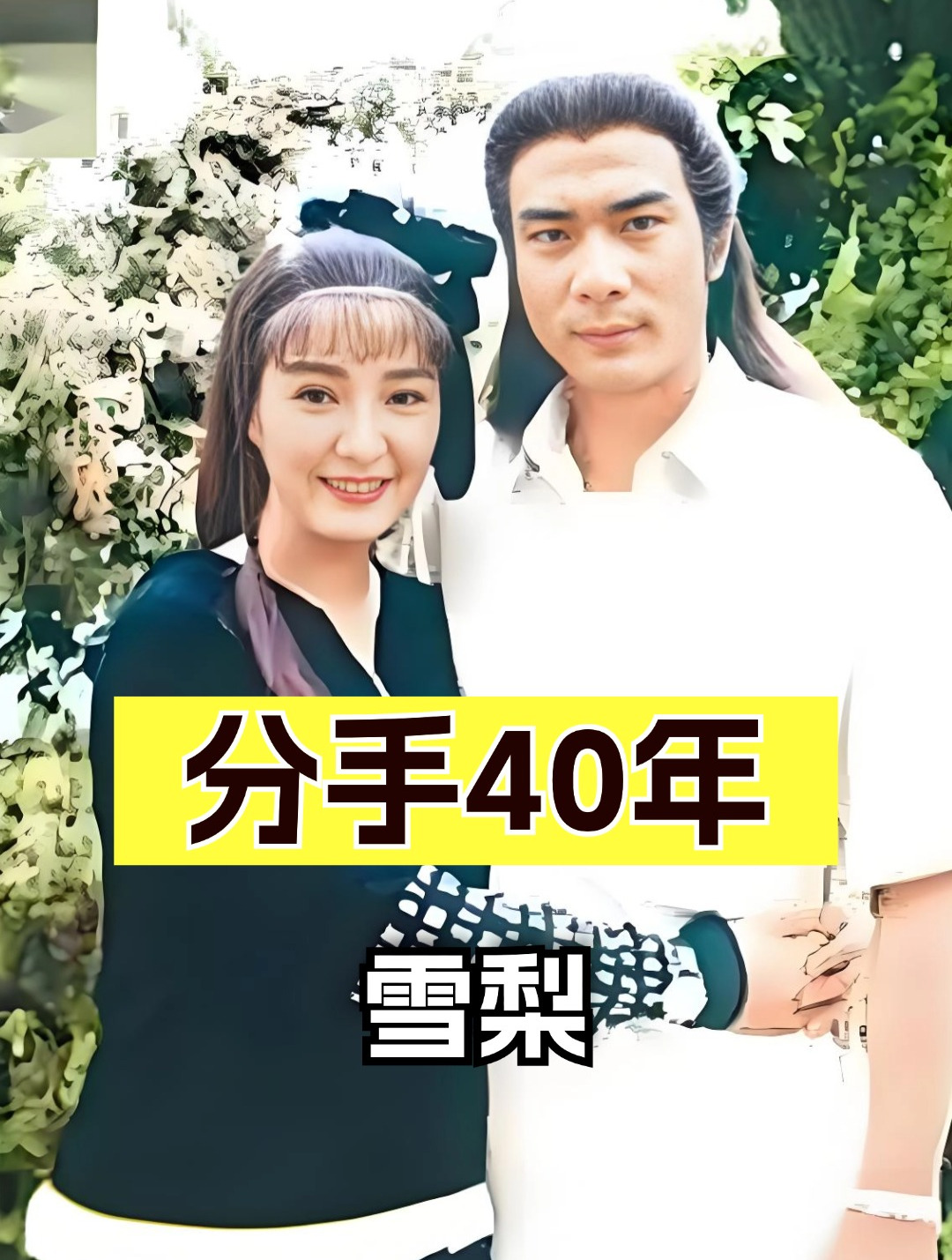 分手40年后再看徐少强和雪梨,一人和妻子生死相随一人独自养娃