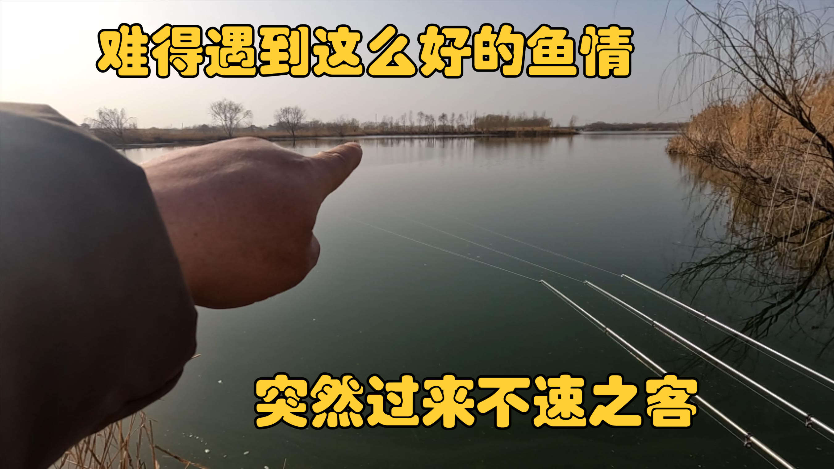 难得遇到这么好的鱼情,突然过来不速之客,急得我直接板砖伺候