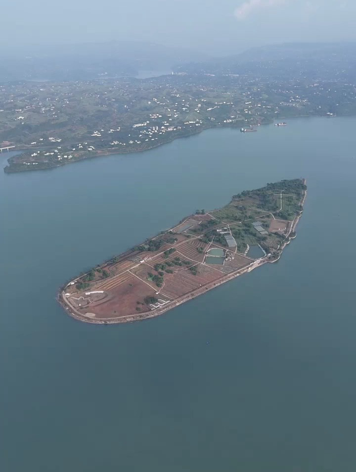 长江最美江心岛,涪陵坪西坝,杨贵妃吃的荔枝就是来自这里.