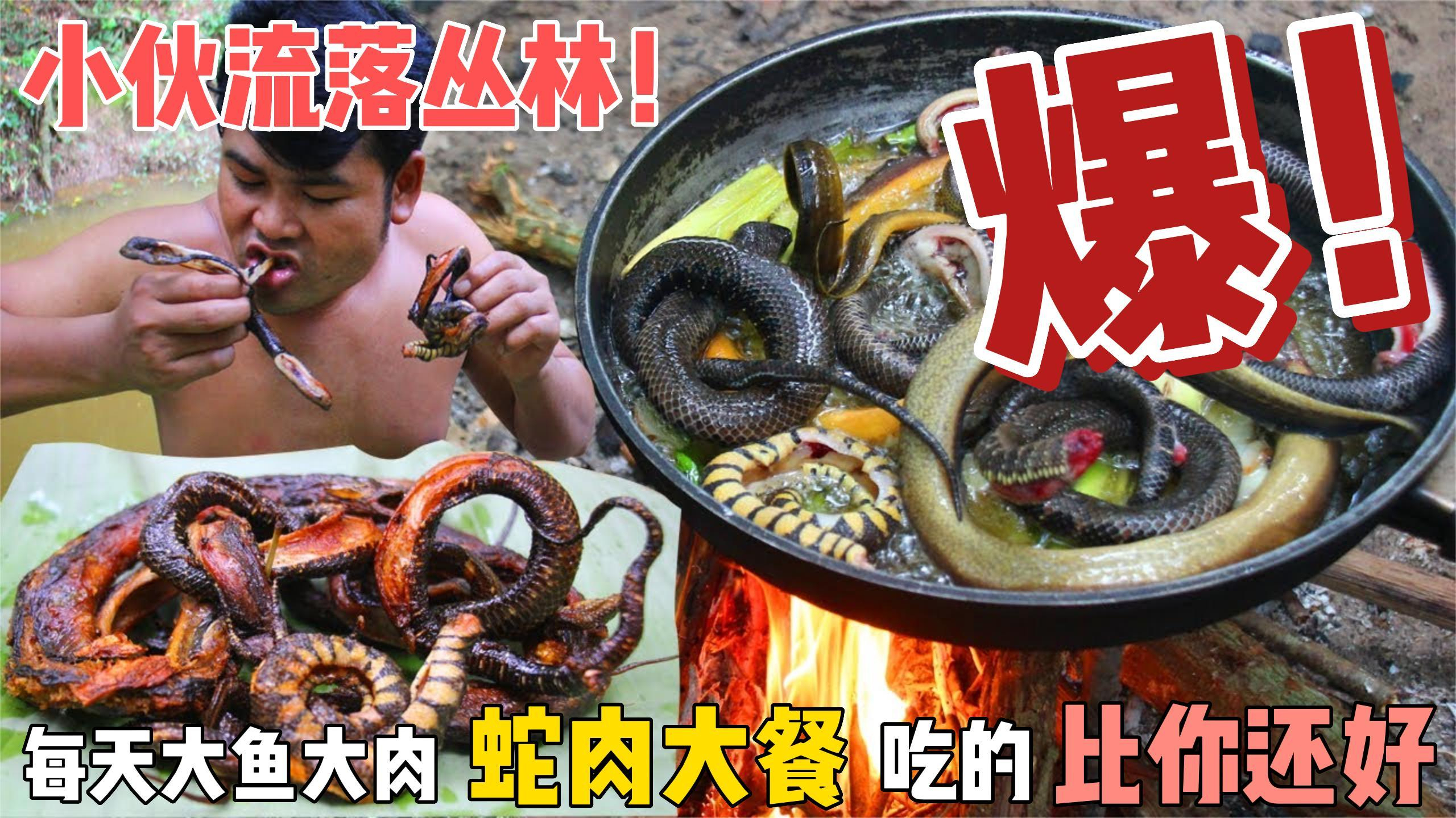 小伙流落丛林,享受蛇肉大餐,吃的比你还好!