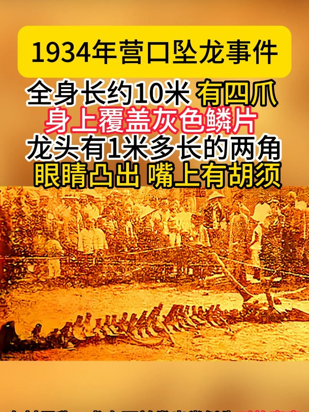 1934年营口坠龙事件