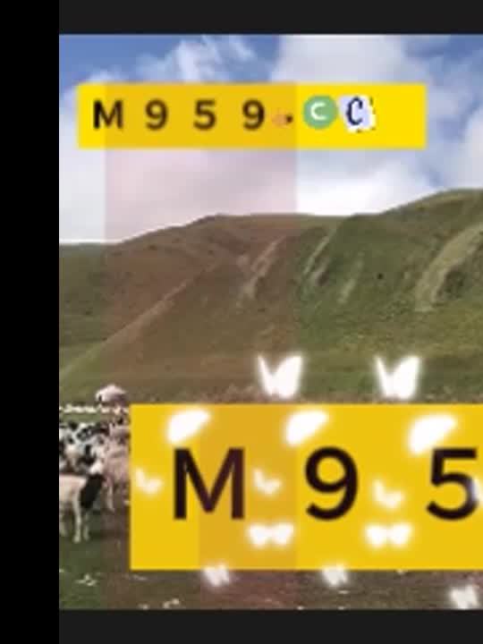 澳门6合开奖结果2023开奖记录:淤