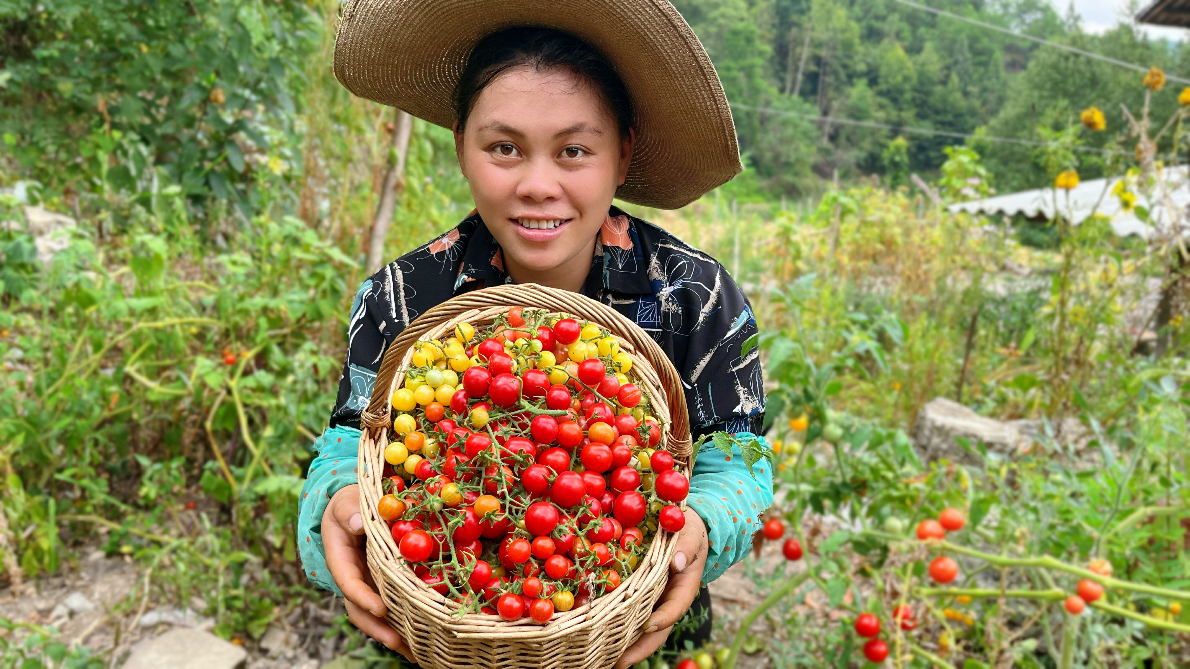 欧妹摘了很多西红柿,配上辣椒茄子炒一锅,又辣又下饭吃辣真厉害