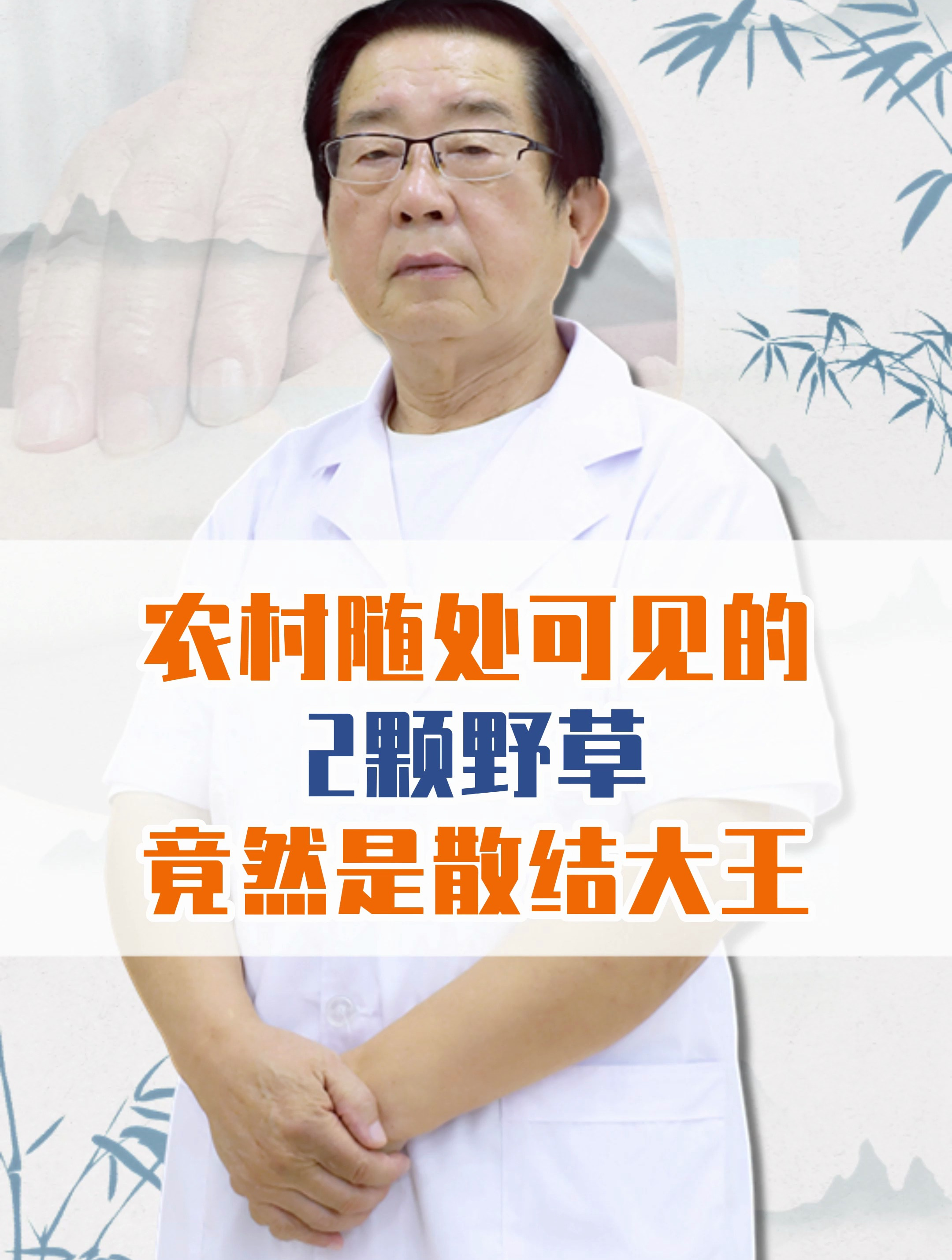 农村随处可见的2棵草竟是散结大王