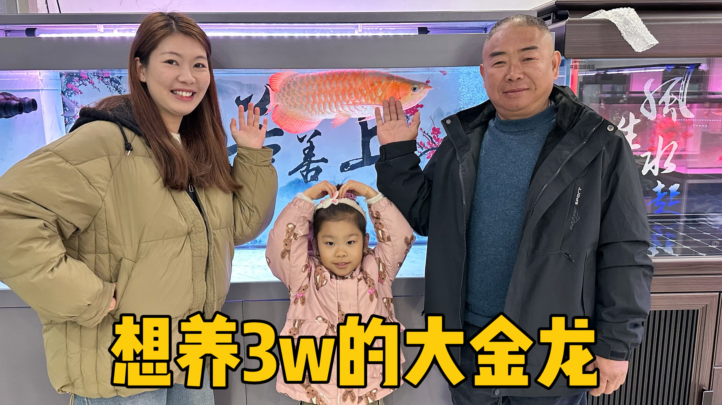 广东媳妇想买3万的金龙鱼来养，公公表示同意，老公在一旁都慌了