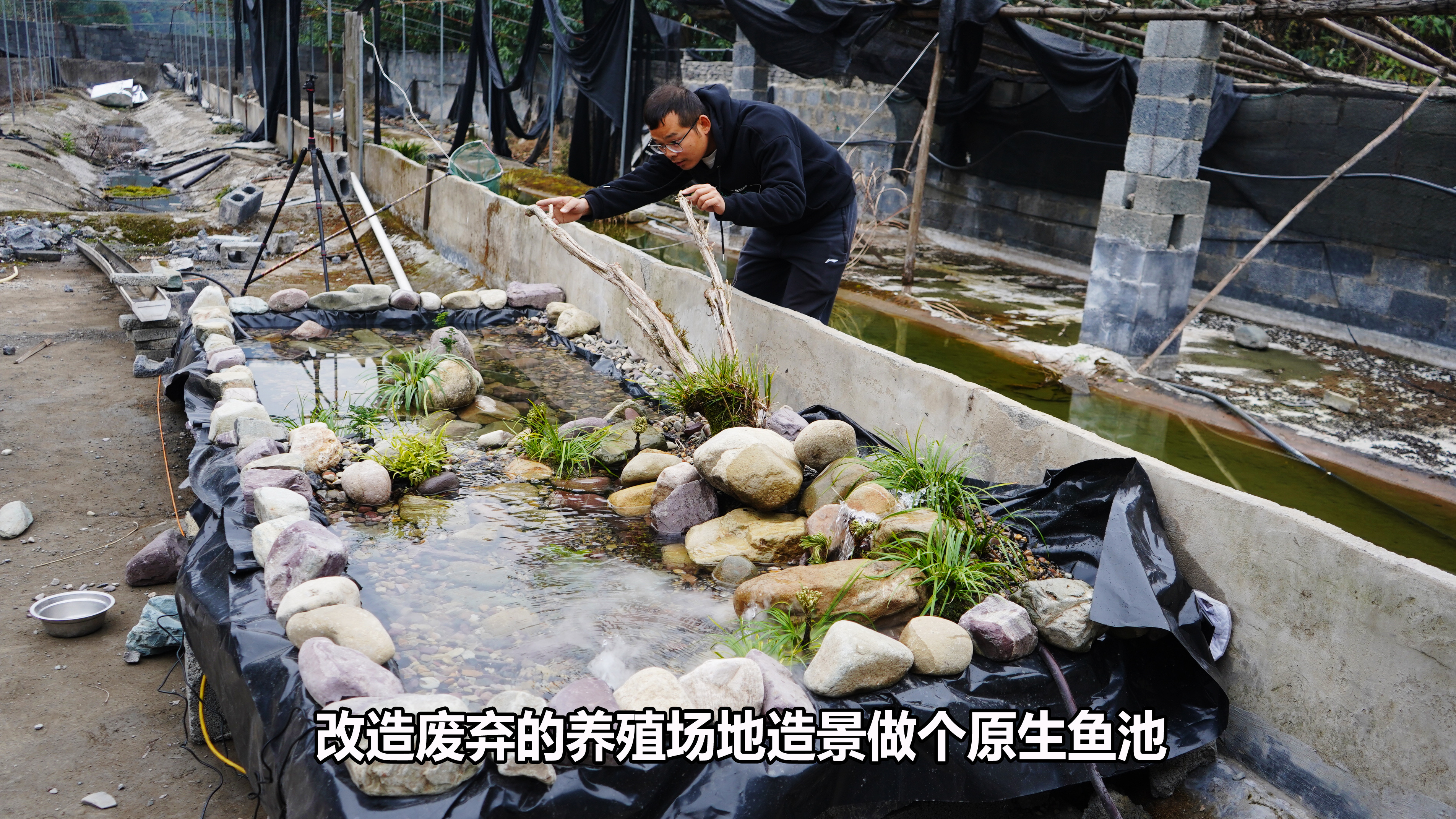 拆掉废弃的场地,耗时整整7天造景做个原生池,完工一看效果不错