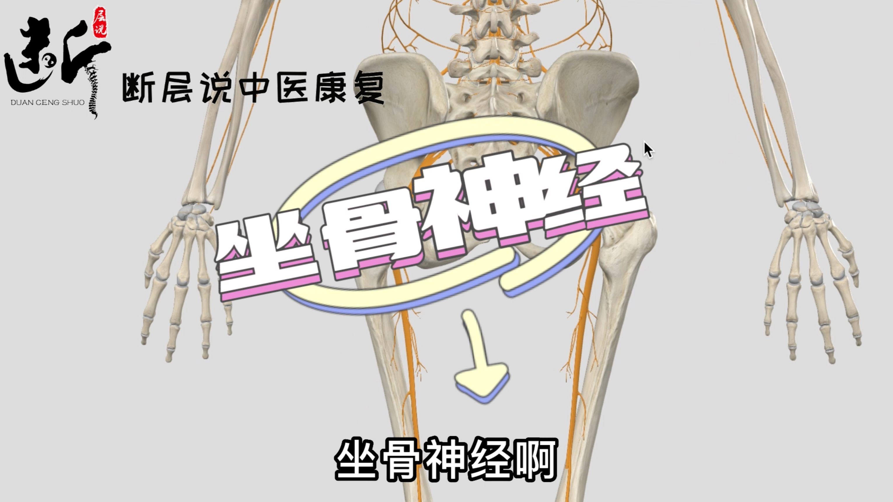 「坐骨神经揭秘（一）」不是所有腰骶臀腿问题都叫坐骨神经痛！