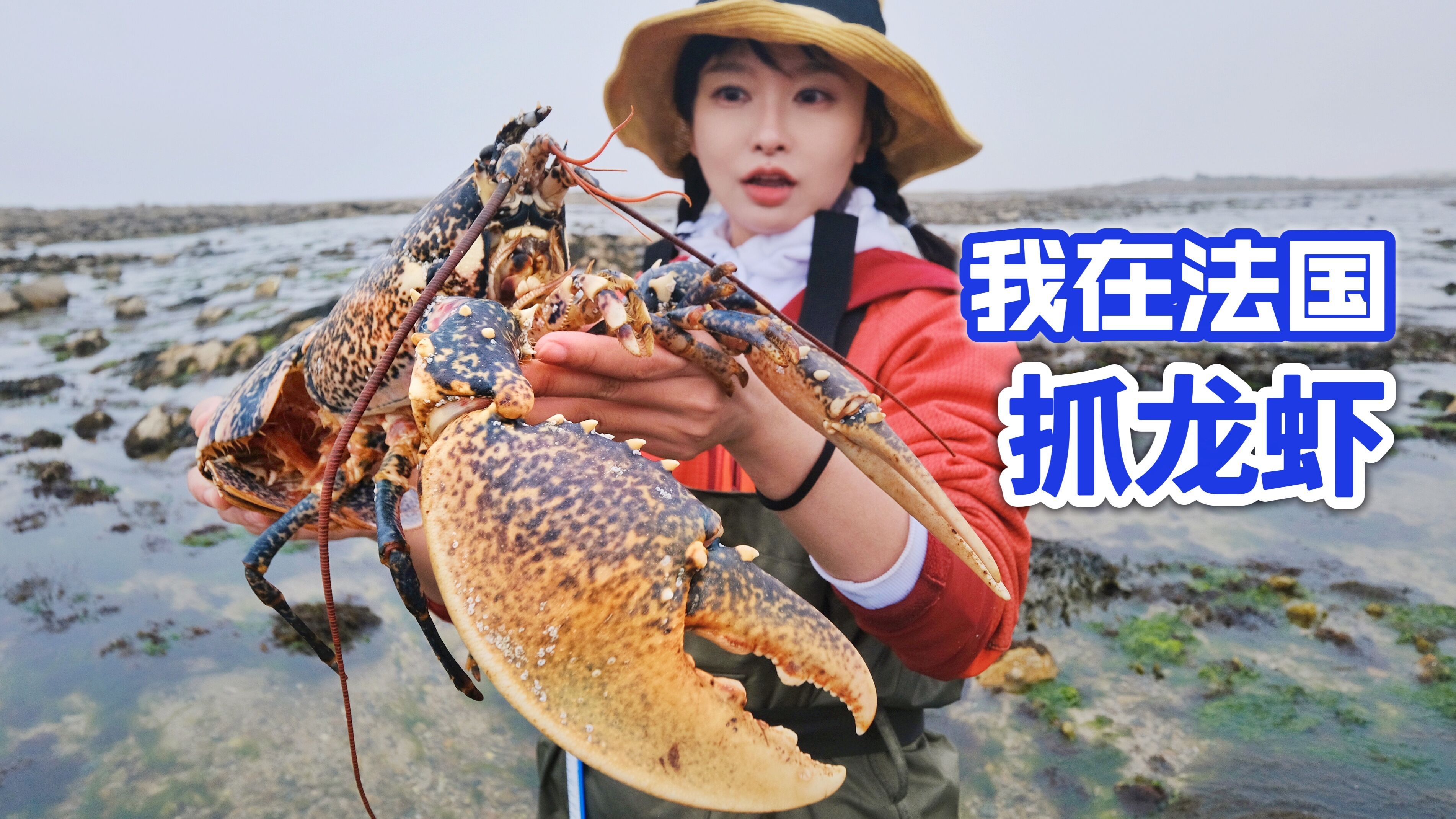 在法国抓龙虾,价值千元的蓝龙无处逃,做蒜蓉龙虾鲜甜弹牙