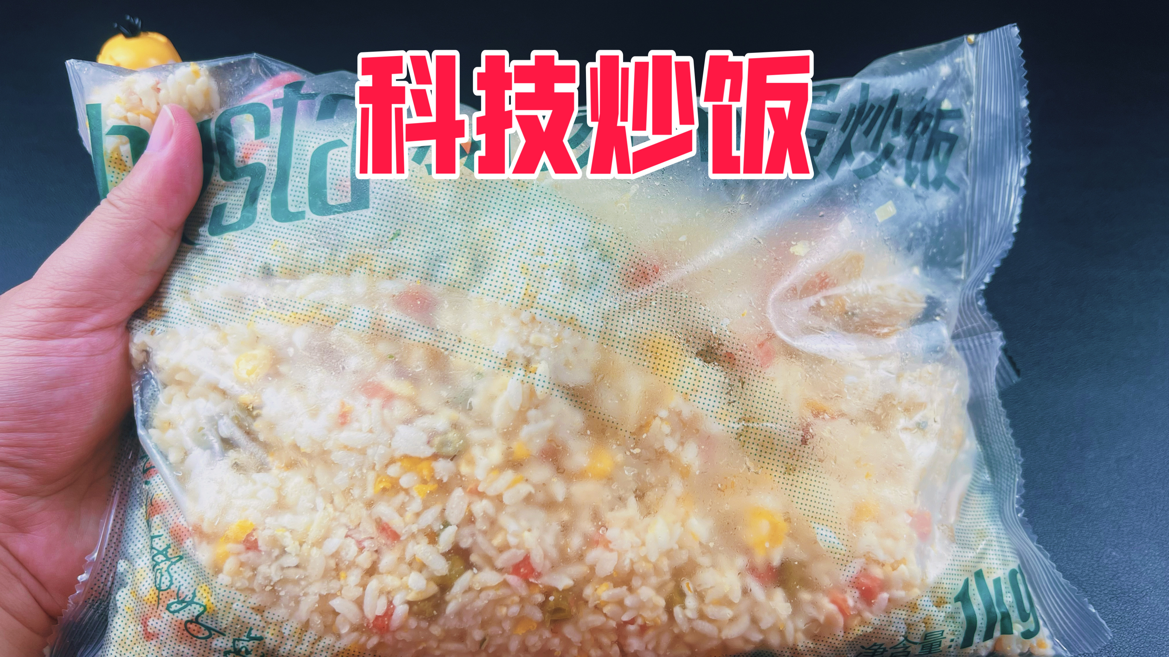 外卖店同款的科技蛋炒饭真的好吃吗17元居然买了2斤!