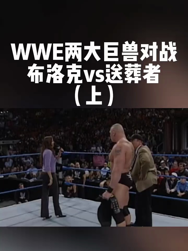 笑死人不偿命 wwe两大巨兽对战,布洛克vs送葬者(上)