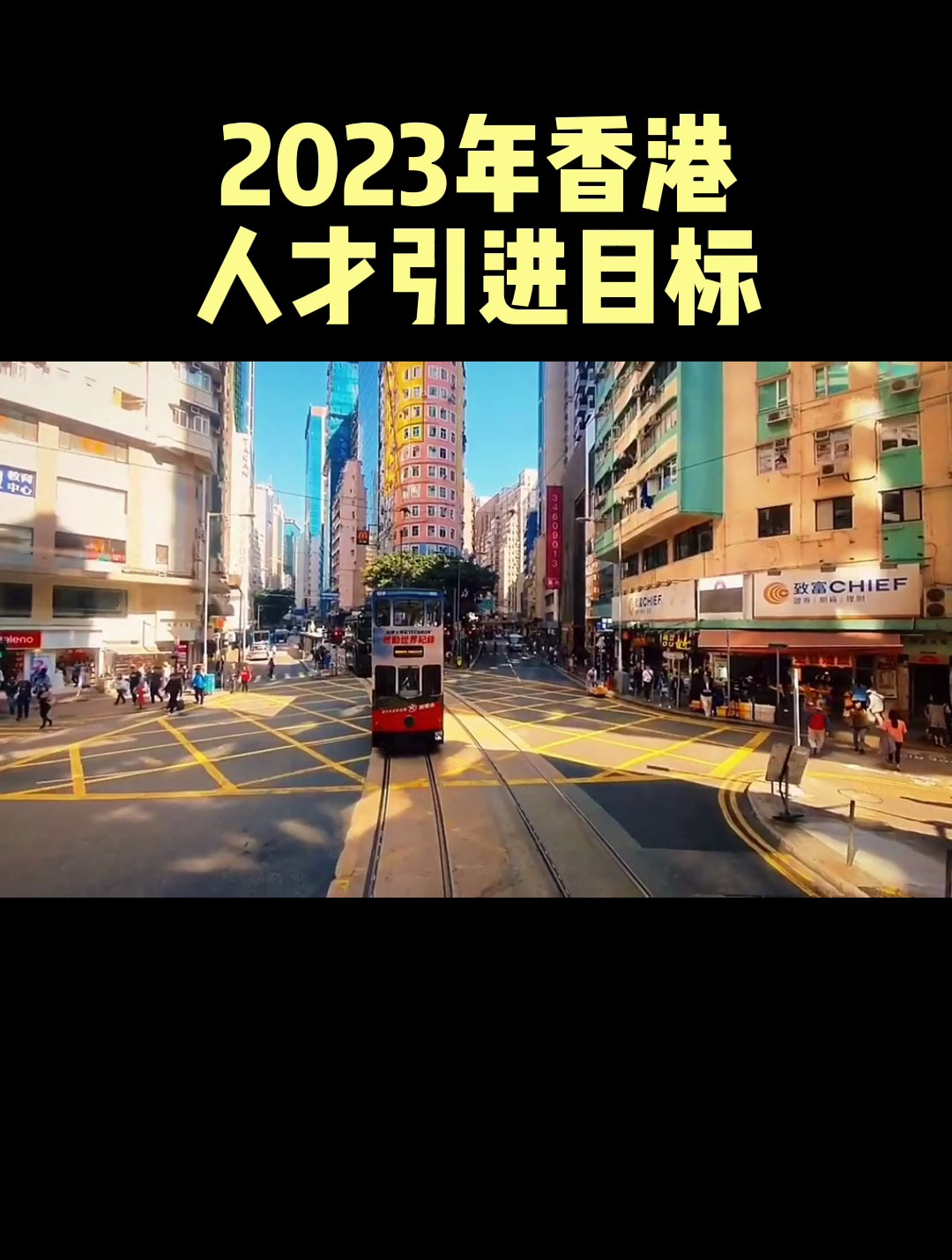 关于致富CHIEF是什么平台的信息