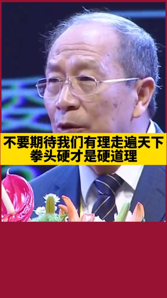 金一南不要期待我们有理走遍天下拳头硬才是硬道理