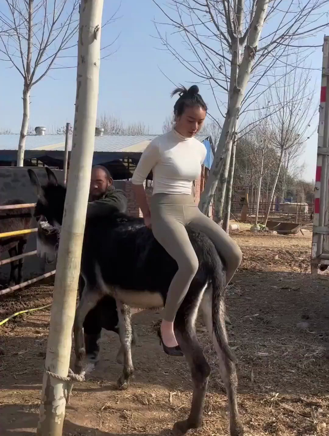 美女就喜欢在二叔这里骑驴,回家都不让我碰!