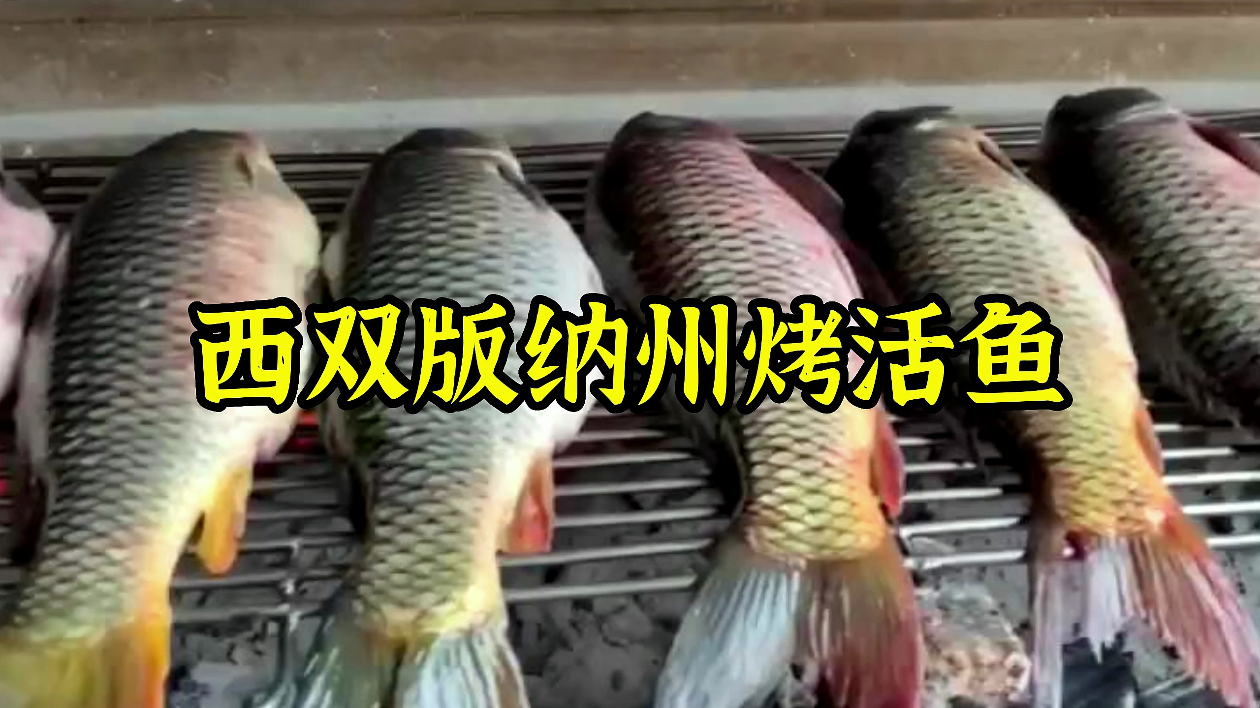 西双版纳特色活烤鲤鱼,最好吃的就是鱼籽,营养又解馋