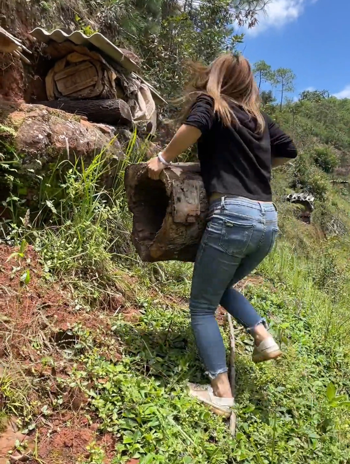 养蜂女的工作日常