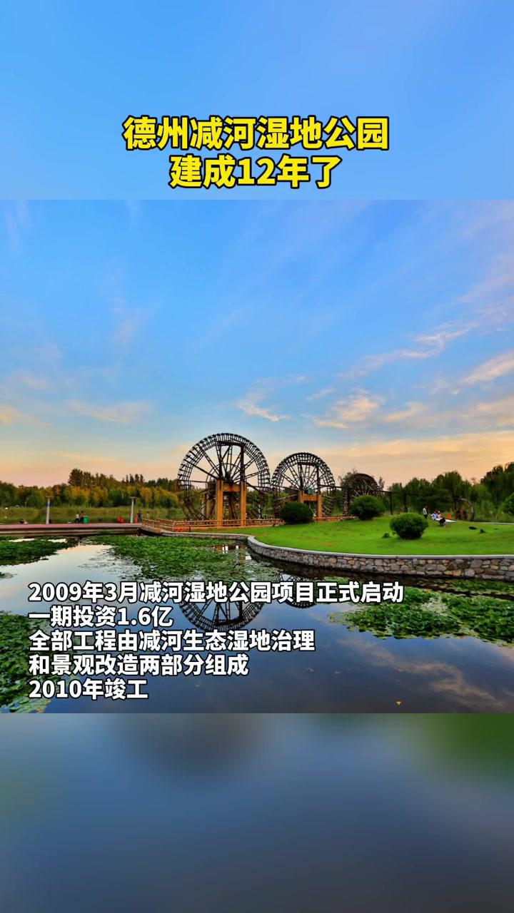德州 减河湿地公园建成12年了,你知道吗?-度小视