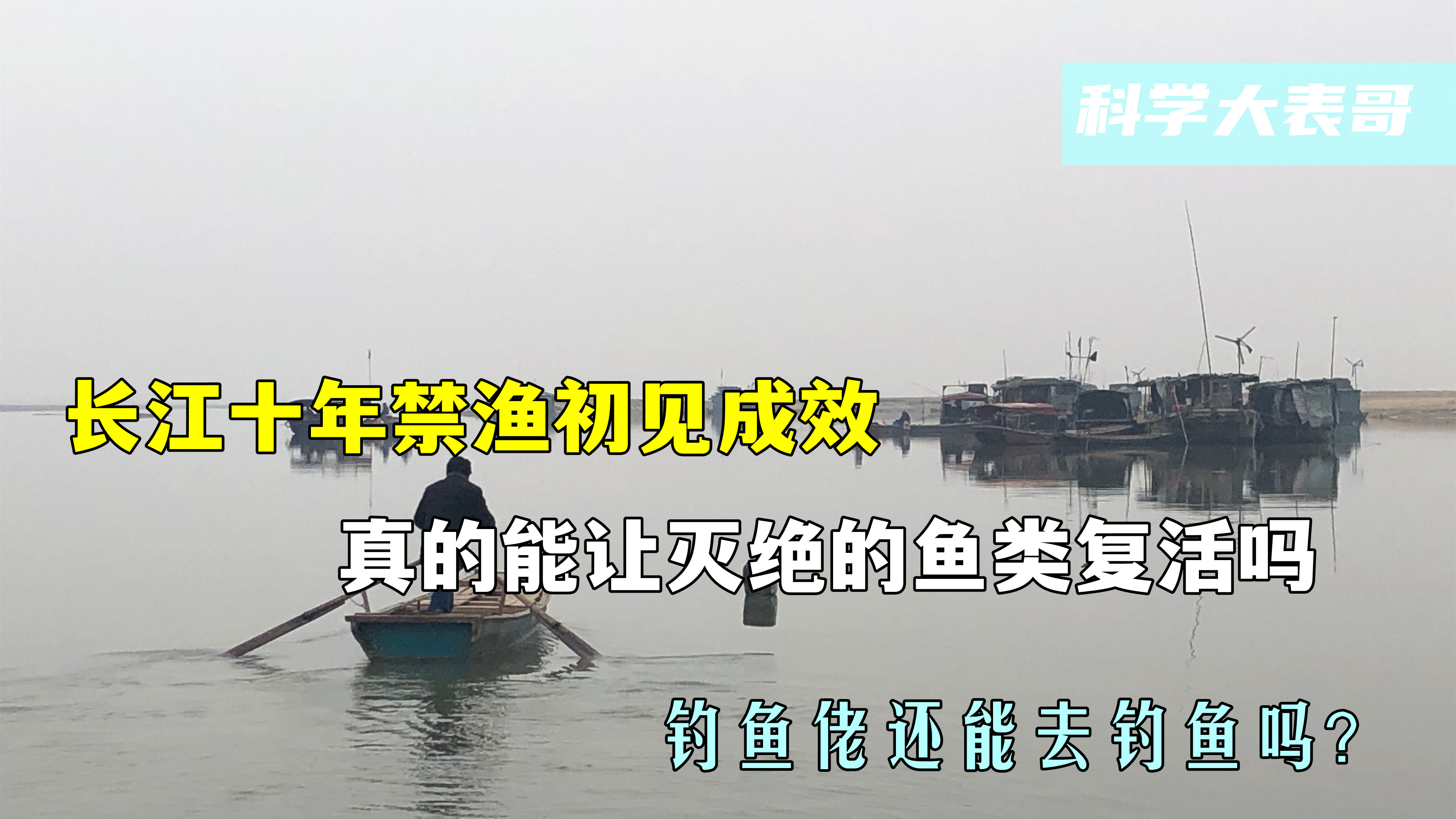 长江十年禁渔有何意义?真的能让灭绝的鱼类复活吗?还能去钓鱼吗